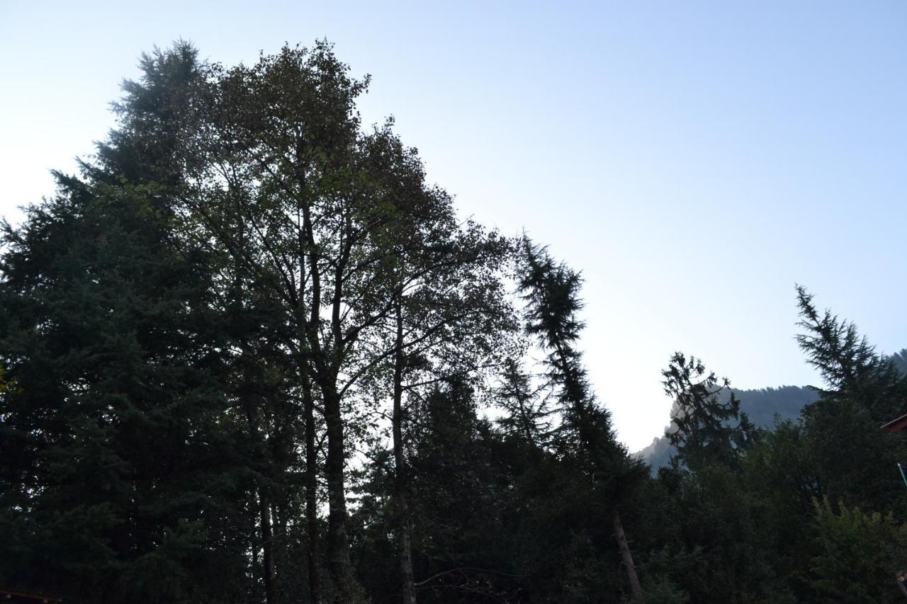 Forest Wood Cottage Manali  Exterior photo