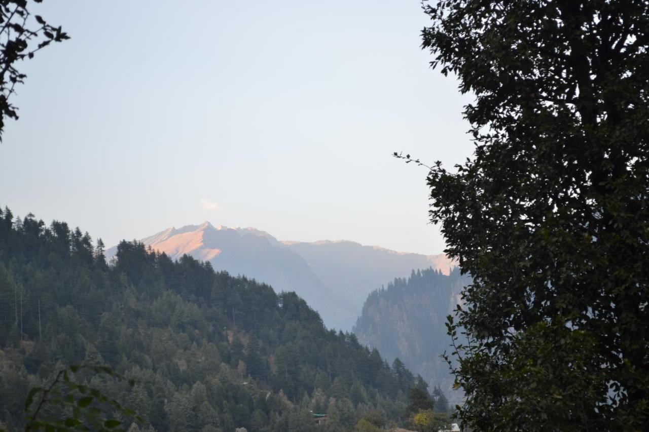 Forest Wood Cottage Manali  Exterior photo